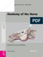 Anatomy_of_the_Horse.pdf