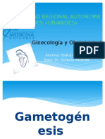Ginecologia Presentacion