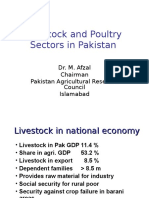 Livestock and Poultry Sectors in Pakistan