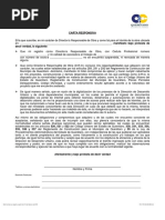 Carta Responsiva