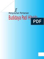 Cover Budidaya Padi Hibrida