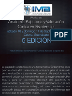 Curso Anatomia Palpatoria Celaya