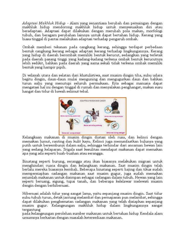 Adaptasi Makhluk Hidup Kapsel