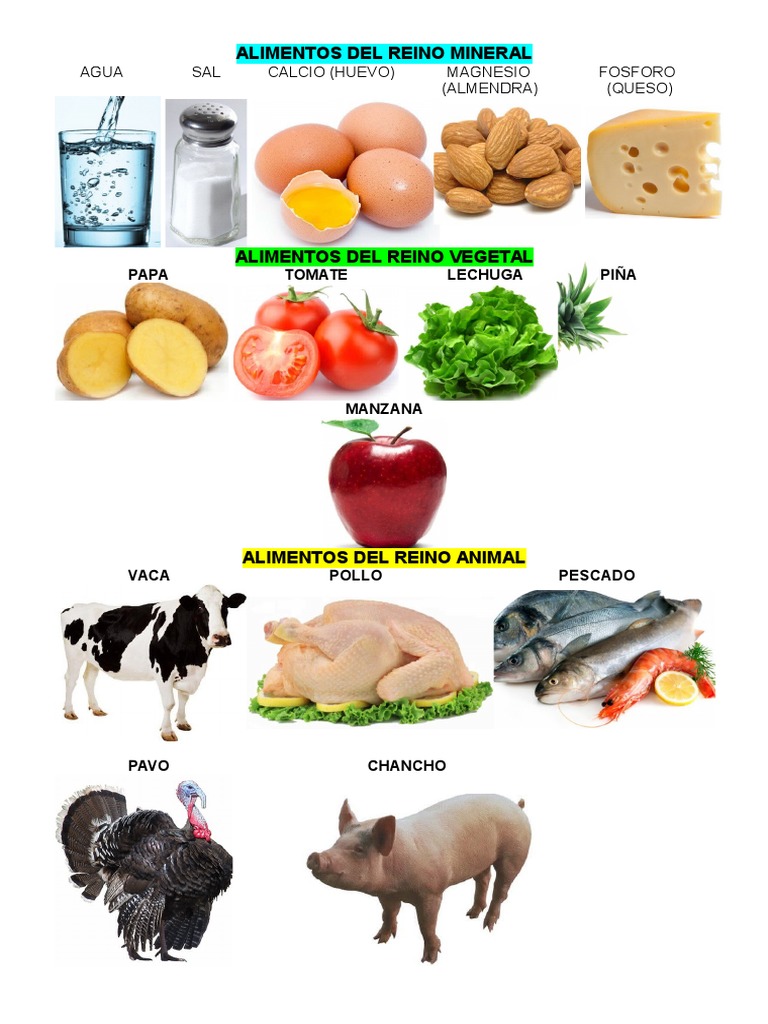 Alimentos Del Reino Mineral | PDF | Cocina, comidas y vino