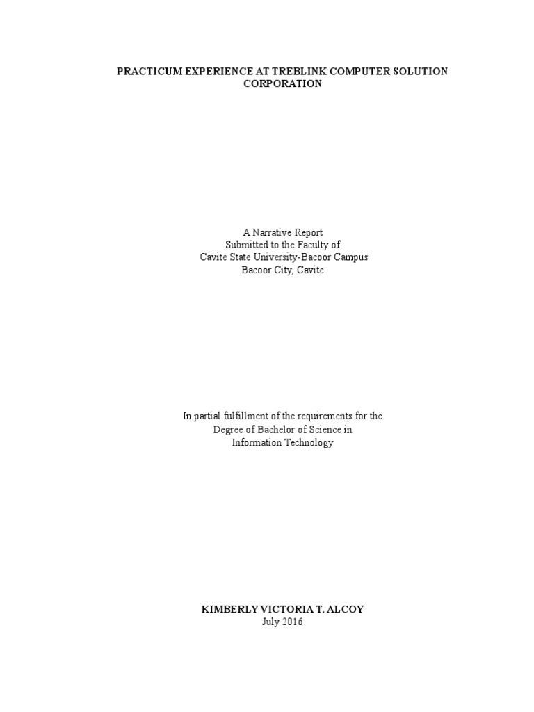 Treblink Computer Solution Practicum Report | PDF