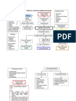 Pathway Anemia