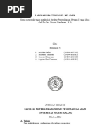 Download Laporan Sel Kelamin Fixxxxx by ariadna safitri SN326735118 doc pdf