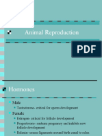 Animal Reproduction