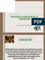 3aclasemaduracion1parte-.pdf