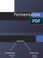 fermentation ms