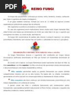 Download Reino Fungi by Rosilene SN32678509 doc pdf