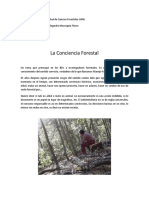 Proyecto Escolar Forestal