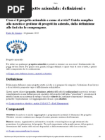 Guida Al Progetto Aziendale PMI 9-7-2015