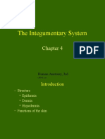 The Integumentary System: Human Anatomy, 3rd Edition Prentice Hall, © 2001