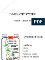Lymphatic System: Marieb Chapter 20