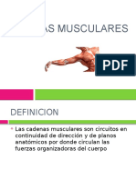 Cadenas Musculares