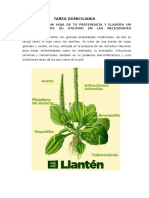 TAREA DOMICILIARIA - Llanten