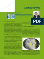 Analisis de Witts.pdf