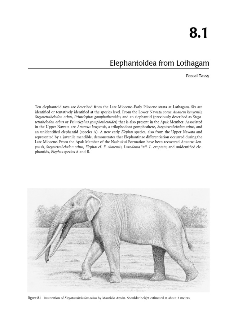 Elephantoidea From Lothagam Pascal Tassy | PDF | Nature