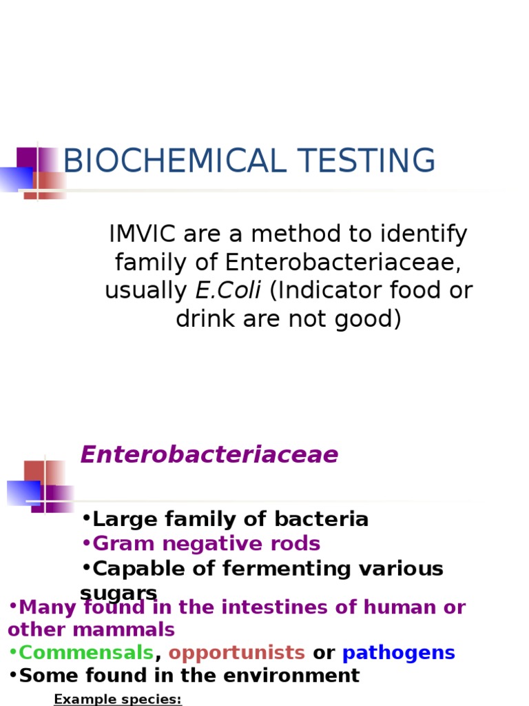 IMViC Biochemical Testing Guide | PDF | Chemical Compounds | Chemical ...
