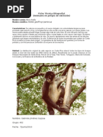Download Ficha Tcnica by Isaias Jimnez SN32684418 doc pdf
