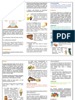 Clasificacion de Los Alimentos PDF