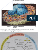 Tinjauan umum sel
