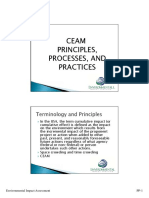 Ceam Principles, Processes, and Practices: Environmental Impact Assessment PP-1