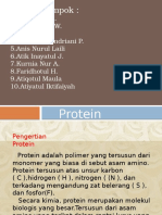 Kimia Protein