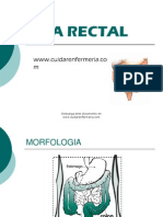 Via Rectal Term in Ada