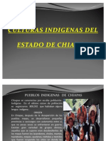 Culyuras Indigenas de Chiapas