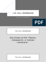 Cell Membrane To Glycocalyx