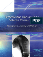 Anatomi Radiologi Barium Studies For GIT
