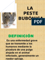 Peste Bubonica