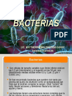 Bacterias - asesinas
