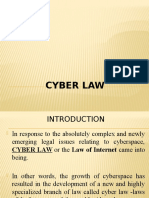 4 Cyber law