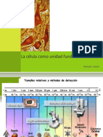 Biología Celular: La Célula Como Unidad Fundamental.