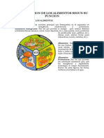 Clasificacion de Los Alimentos Segun Su Funcion