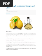 Beneficios y Bondades Del Vinagre y El Limon