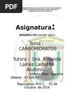 Cuestionario Carbohidratos
