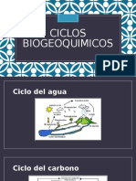 Ciclos Biogeoquimicos