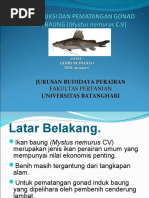 Download Presentasi Rproduksi Ikan Baung by Bigg Boss SN32689046 doc pdf