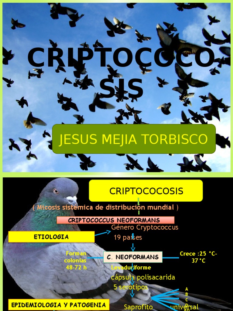 1 Criptococosis | PDF | Enfermedades y trastornos | Especialidades Medicas