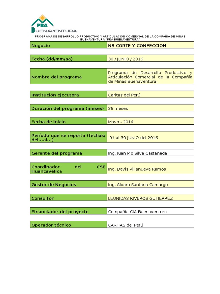 Informe Mensual Junio PDF