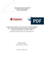 Coordinacion PEQUIVEN PDF