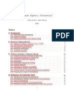 Apunte AlgGeo1 Hasta AplicacionesTeoFundamentalAlgebraJunio2016