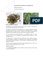 Ficha Descriptiva de Producto Alimenticio - Cardamomo