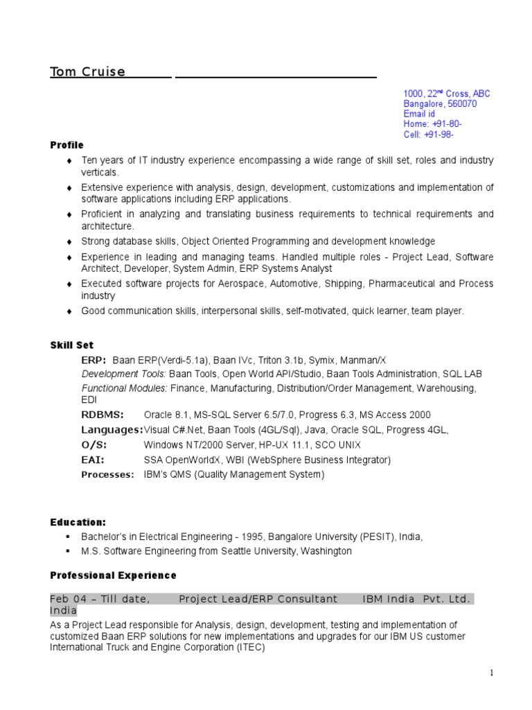 resume format for h1b visa process