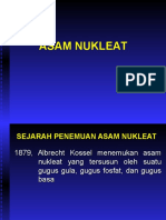 Asam Nukleat-1