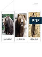 Animal Families PDF